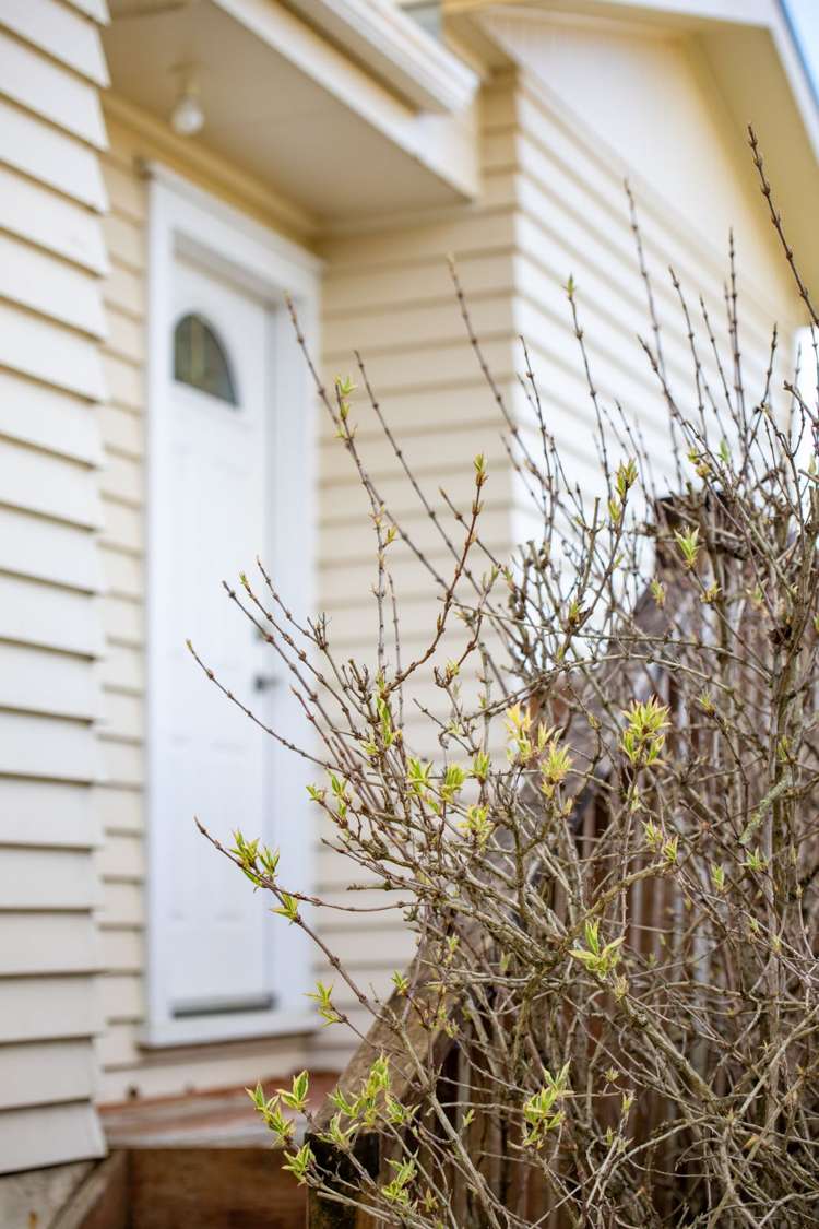 53a Allen Street Morrinsville_34