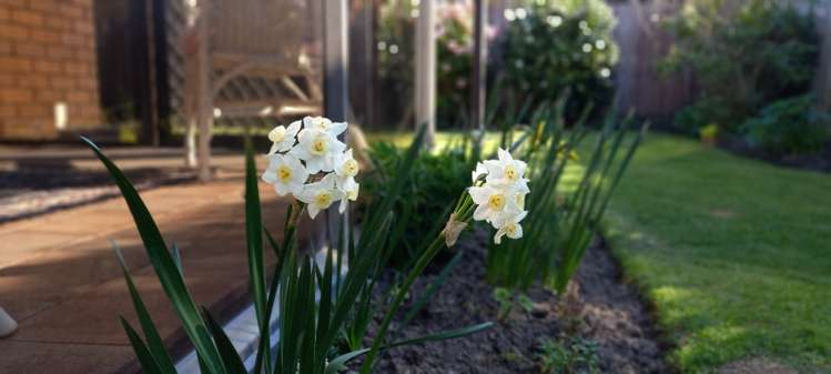 21b Chartwell Close Rangiora_8