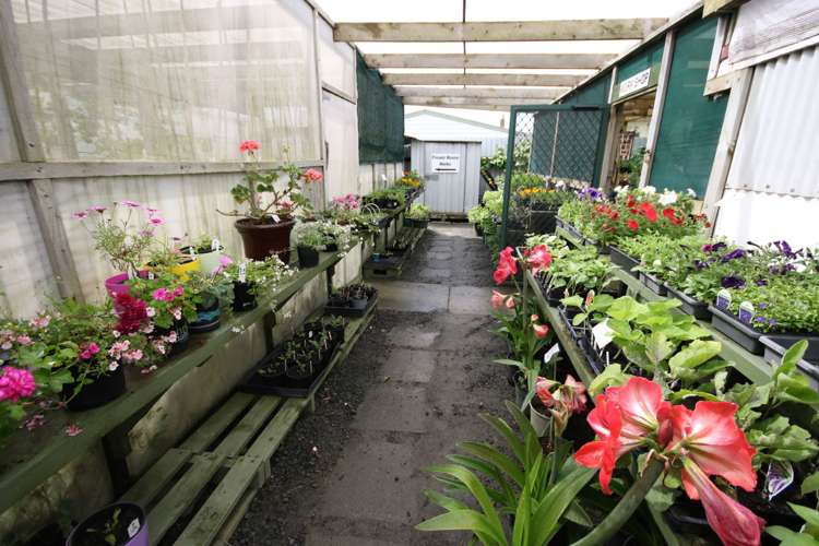 13 Jellicoe Road Manurewa_19