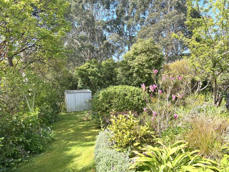 37 Frances Street Broad Bay_28