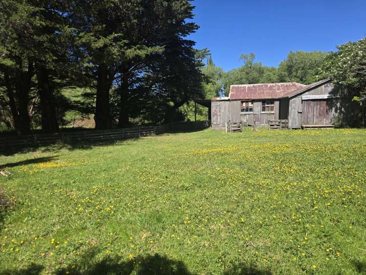 240 Sladdens Bush Road Coopers Creek_8