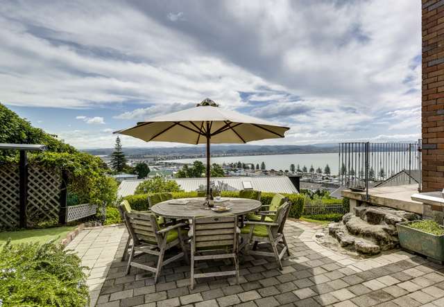 14 Roslyn Road Bluff Hill_1