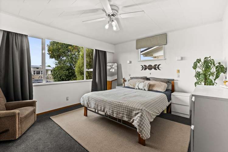 31 Plunket Street Tamatea_5