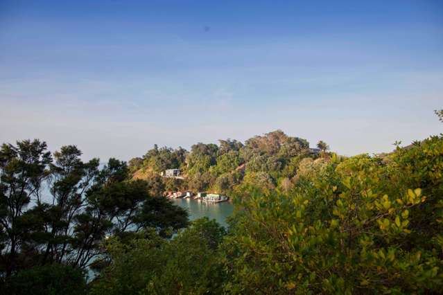 5 Upland Road Ōmiha_2