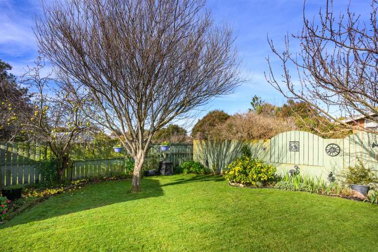 21 Flower Street Bulls_34