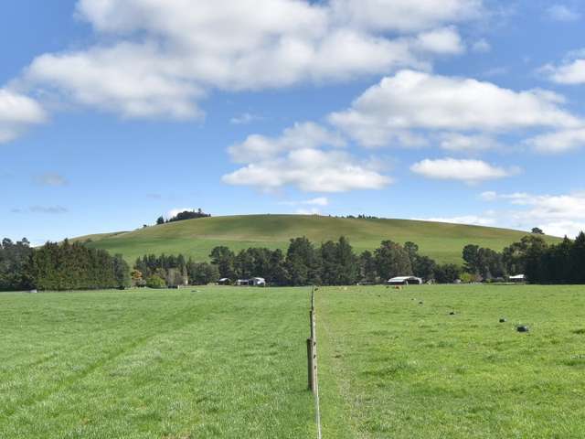 64 Lake Sumner Road Hawarden_3