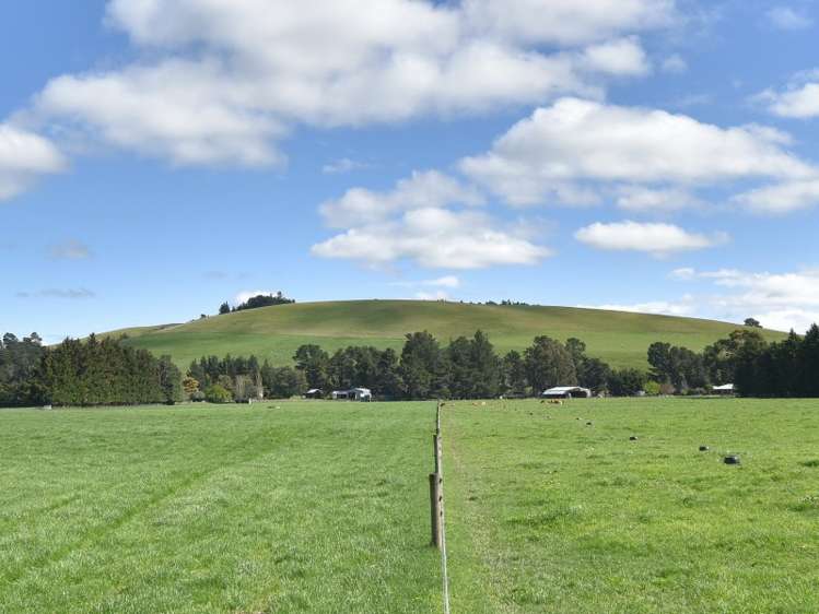 64 Lake Sumner Road Hawarden_3