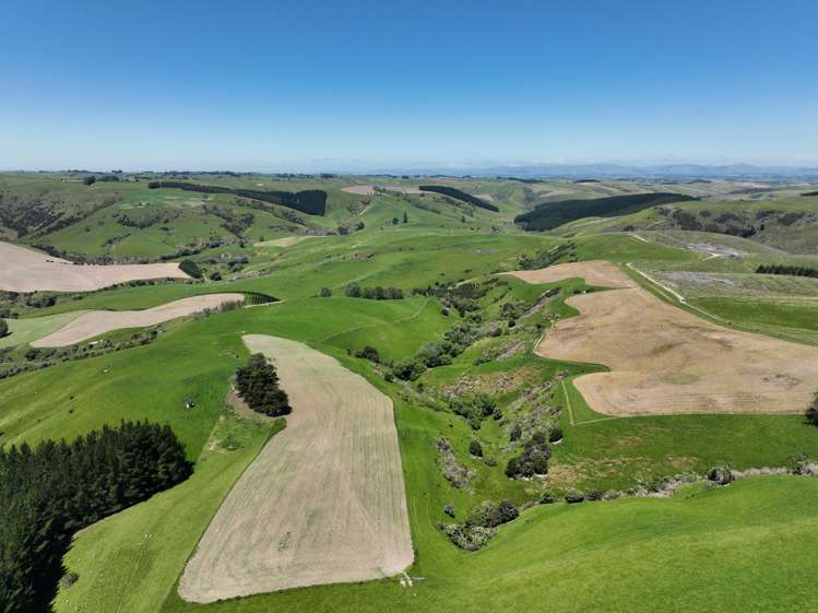 575 Tuapeka Flat Road Lawrence_9