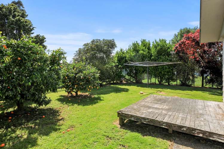 115 Ross Street Pirongia_28