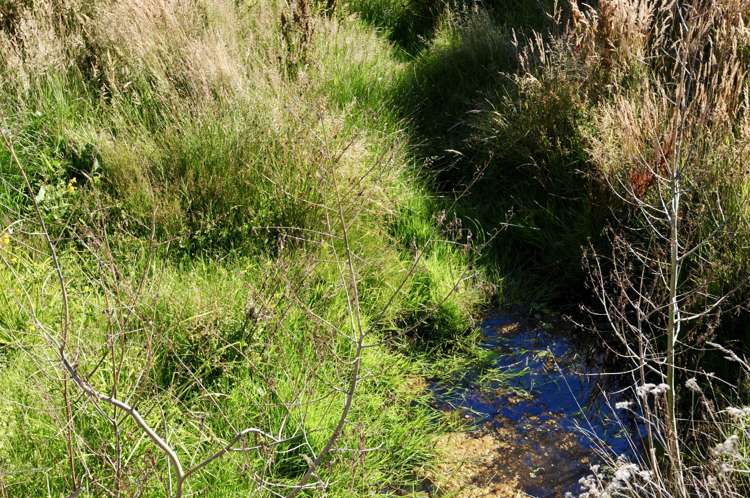Diggers Gully Road Kurow_7
