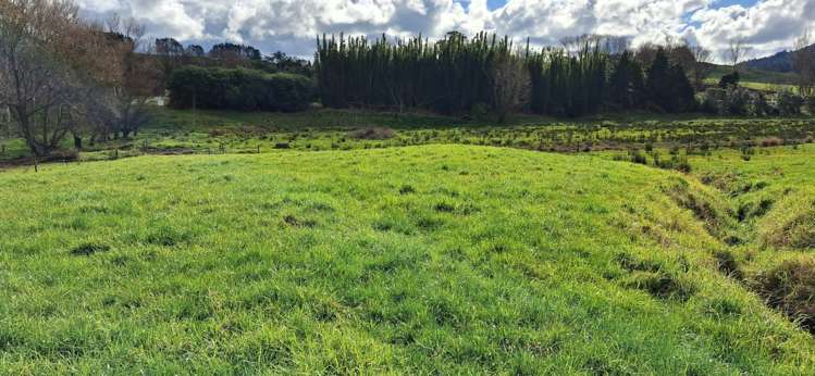 Lot 1&2/79 Tavinor Road Otaika_12