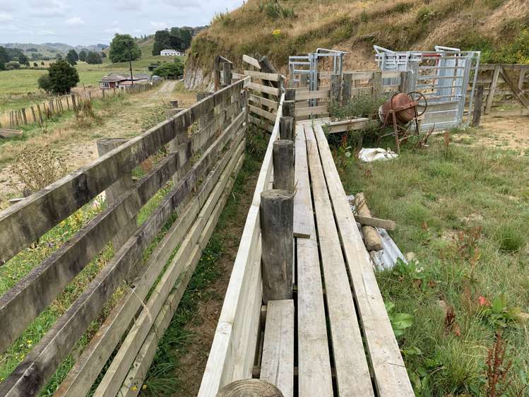 30 Heao Road Pohokura and Surrounds_15