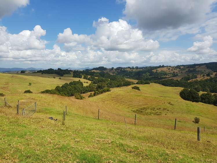 160 Otuhi Road Mangapai and Surrounds_4