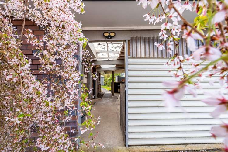 10 Rata Street Te Kauwhata_4