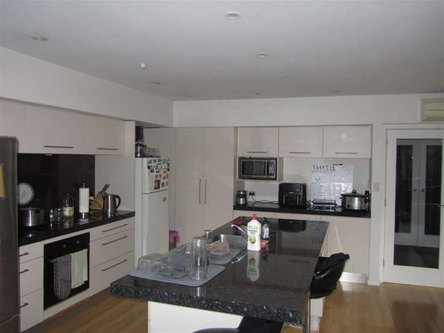 12 Wilfrid Street Ilam_4
