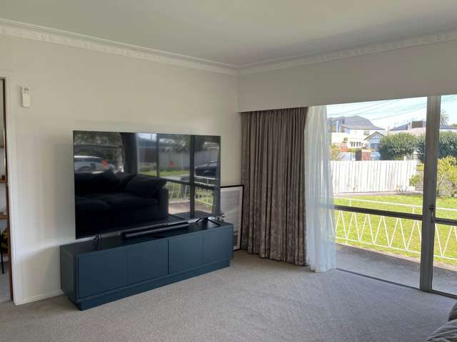 17 Spring Street Papatoetoe_3
