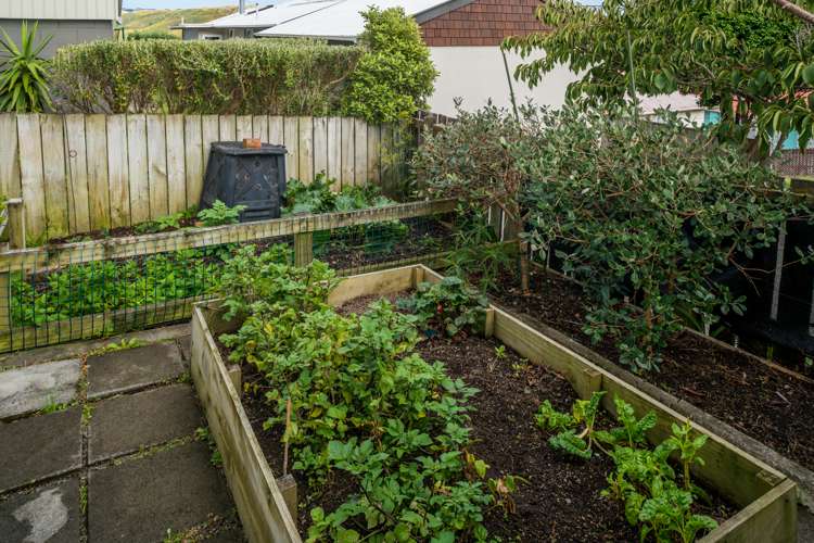 13a Walker Avenue Paremata_16