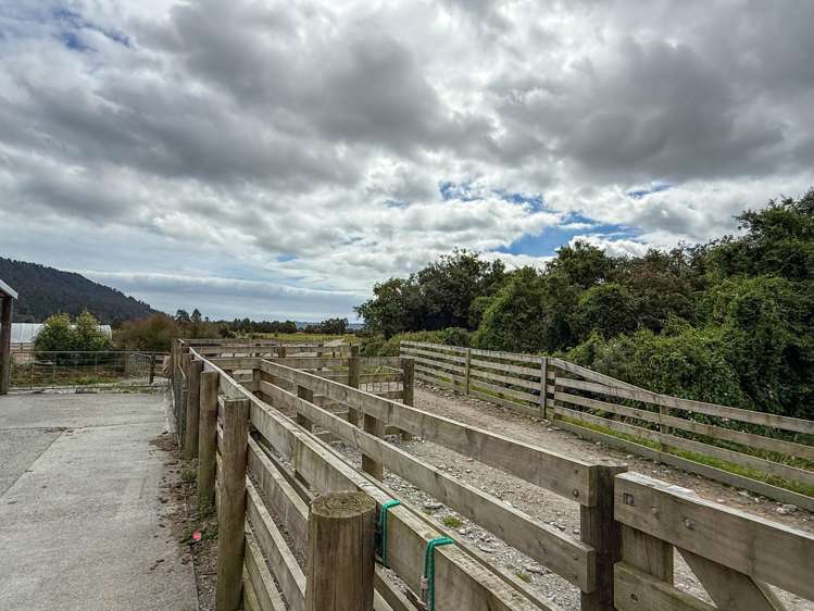 221 Docherty Creek Rd and Waiho Flat Road Franz Josef_22