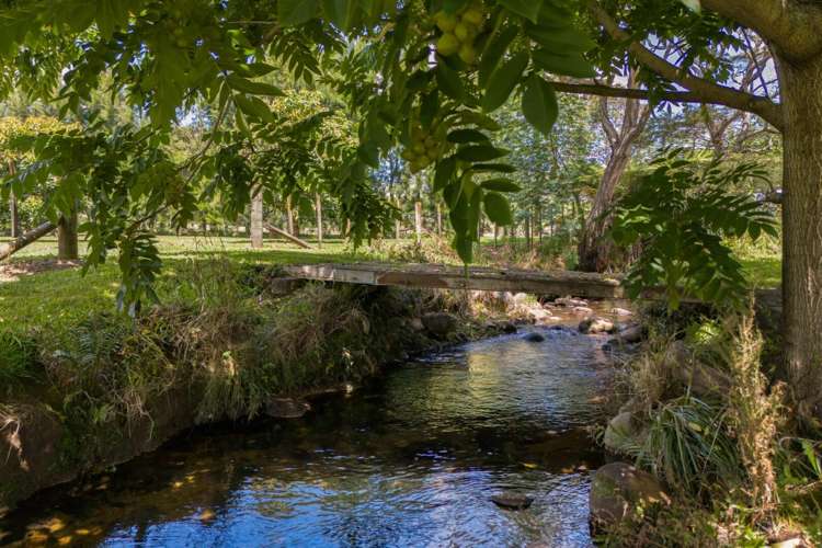 63A Rea Road Katikati_28