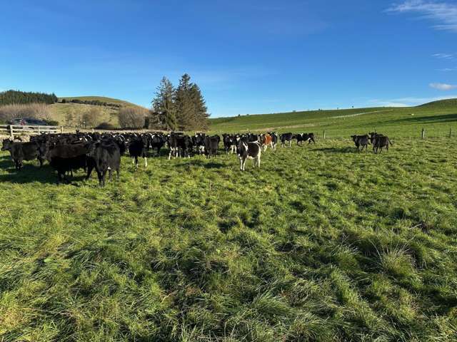 114 Bull Creek Road Glenledi_3