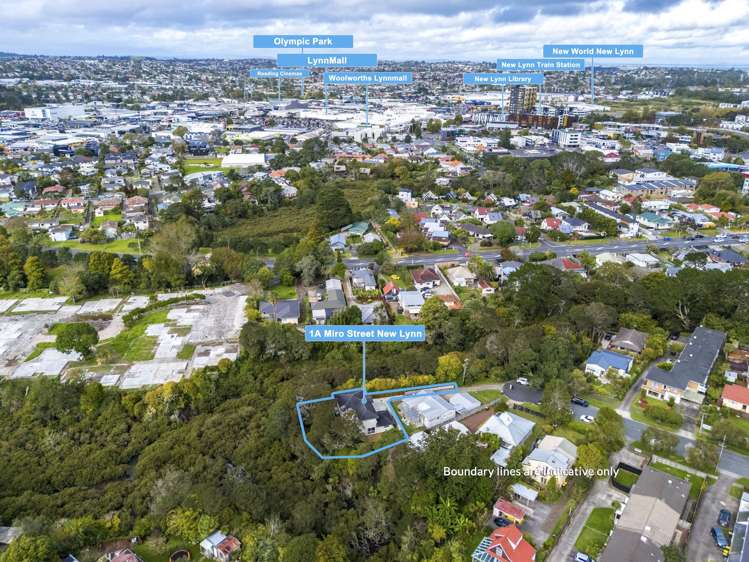 1a Miro Street New Lynn_4