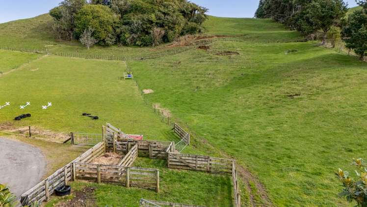 287 Lincoln Road Inglewood_24