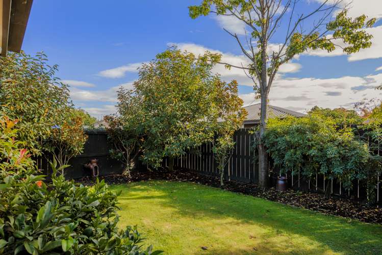 31 Adams Lane Springlands_12