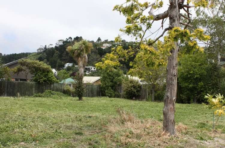 8 Roscoe Street Saint Martins_4