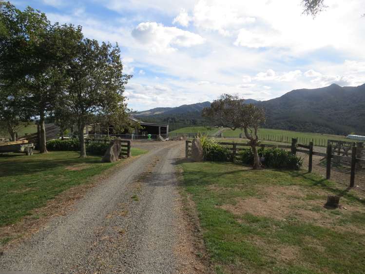 471 Sainsbury Road Pirongia_12