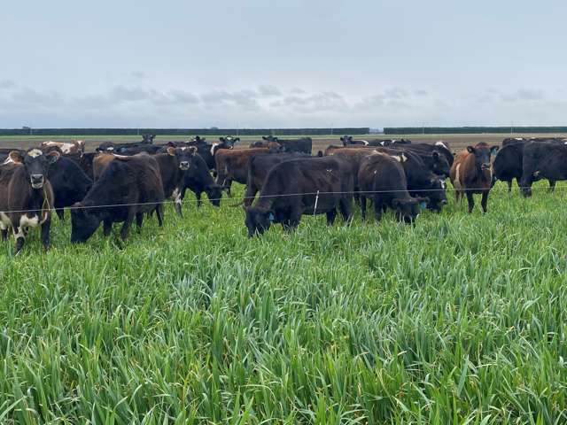 1823 Chertsey Kyle Road and Lambies Road Pendarves_2