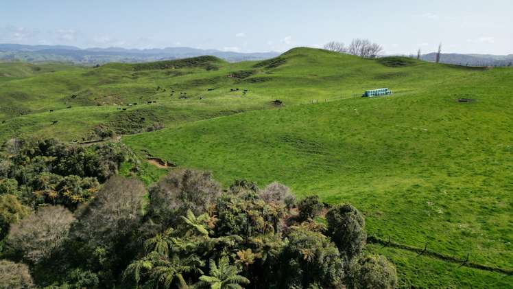 953 State Highway 3 Piopio_13