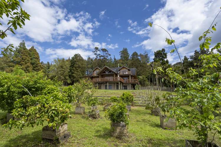 847 West Coast Road Oratia_13