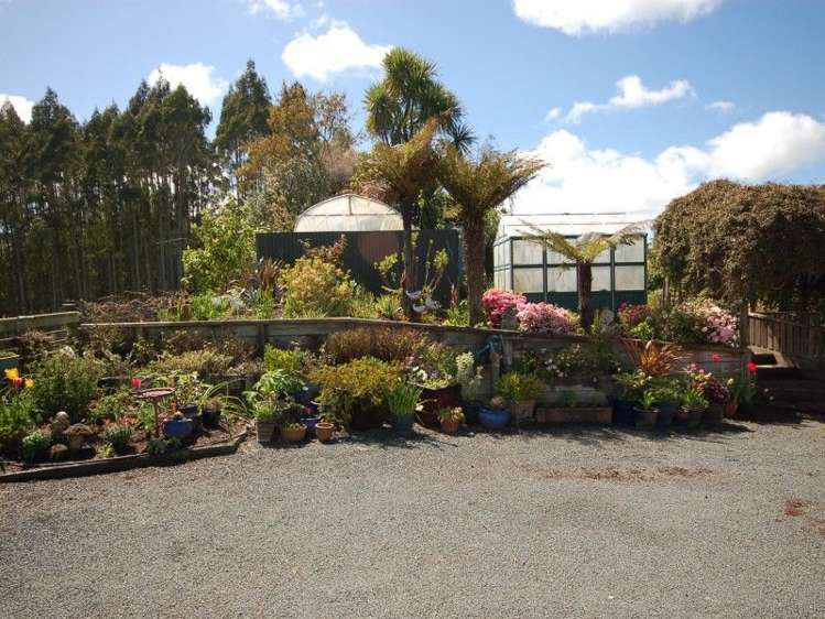 146 Whangamata Road Kinloch_2