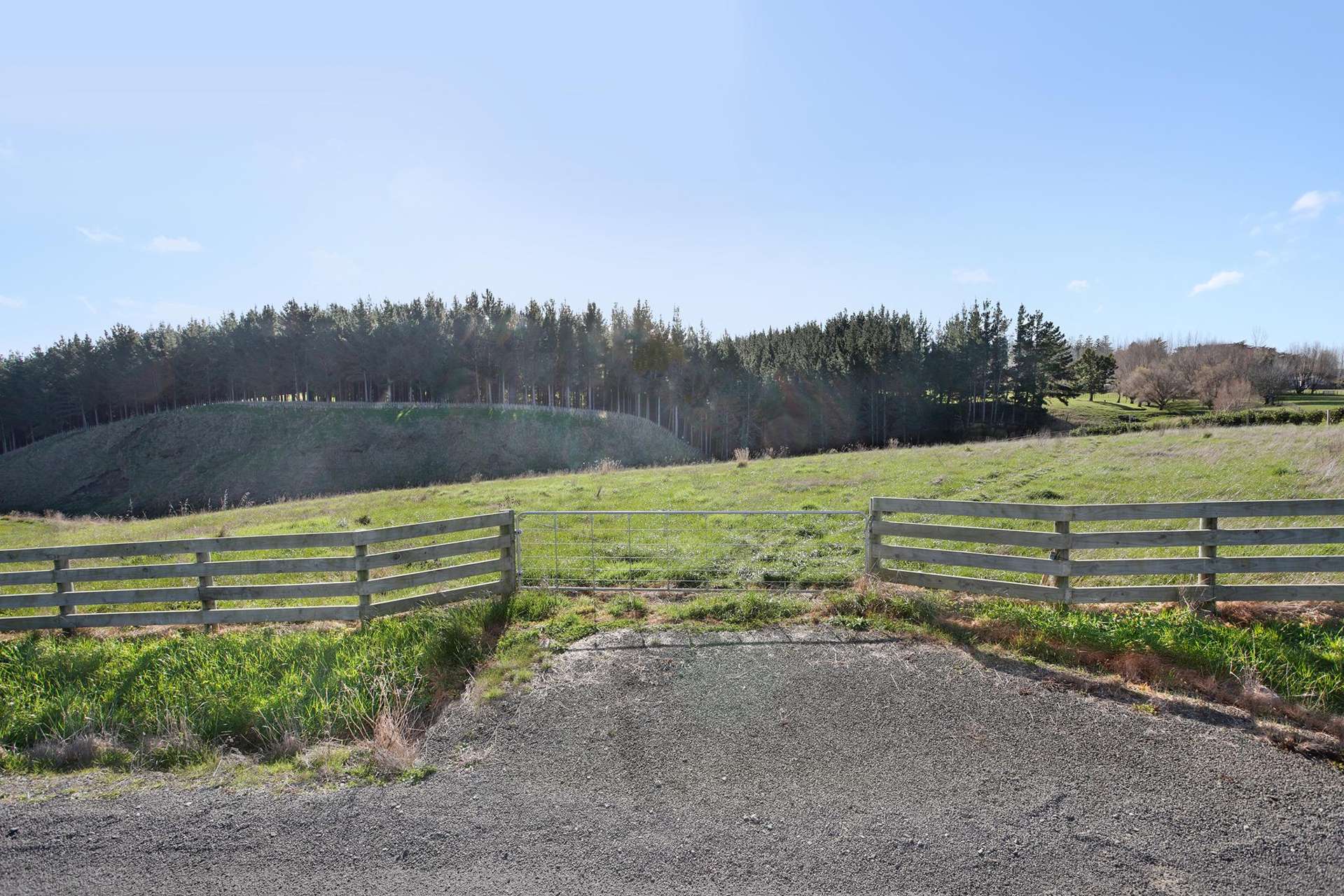 356 Mount Biggs Road Halcombe_0