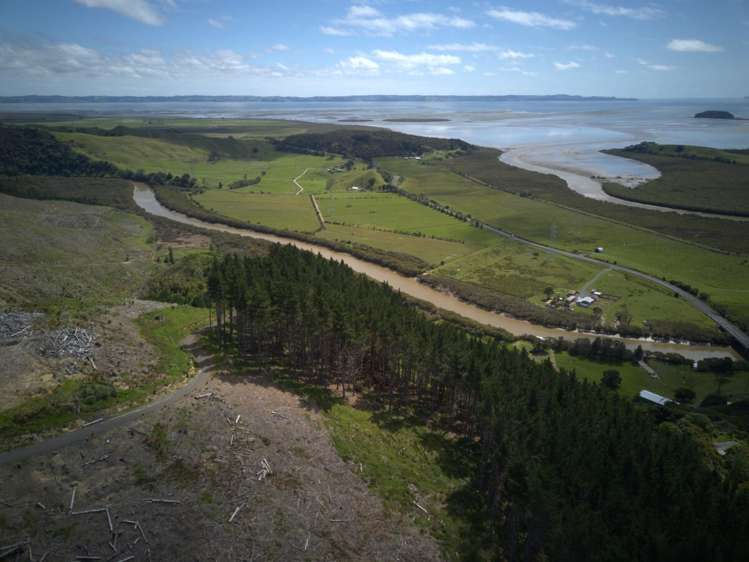 3716 KAIPARA COAST HIGHWAY Kaipara Flats_7