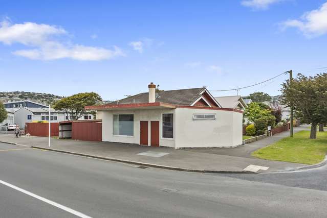 61 Kirkcaldy Street South Dunedin_1