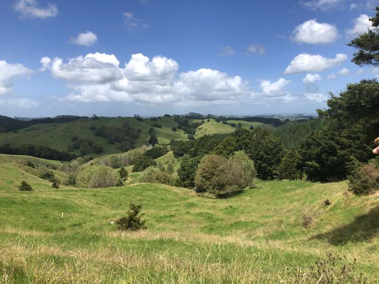 725 Golden Stairs Road Paparoa_7