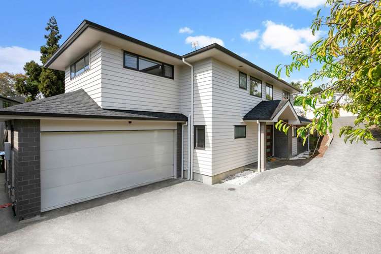 3 Eaton Road Hillsborough_13