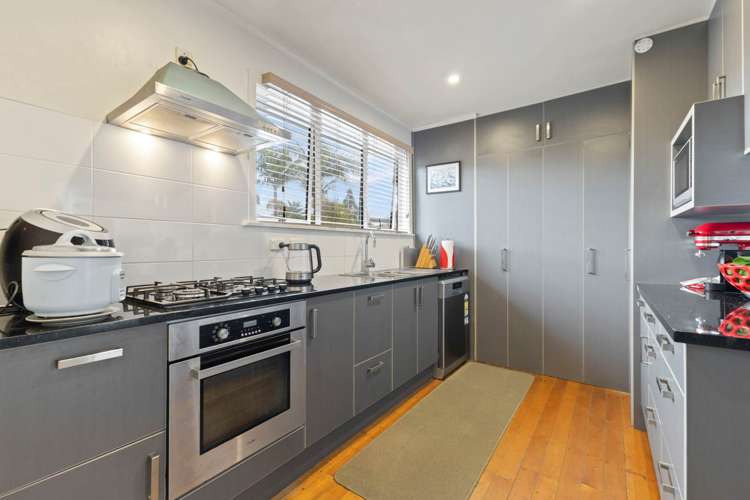 11 Williams Avenue Pakuranga_8
