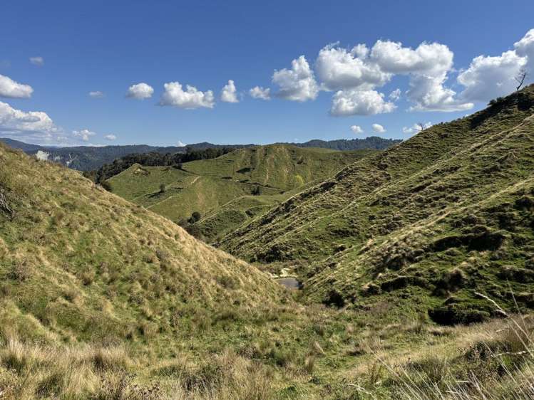 637 Makakahi Road Ruatiti_16