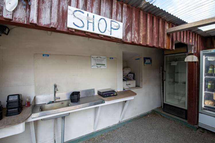 1905 Christchurch Akaroa Road Motukarara_20