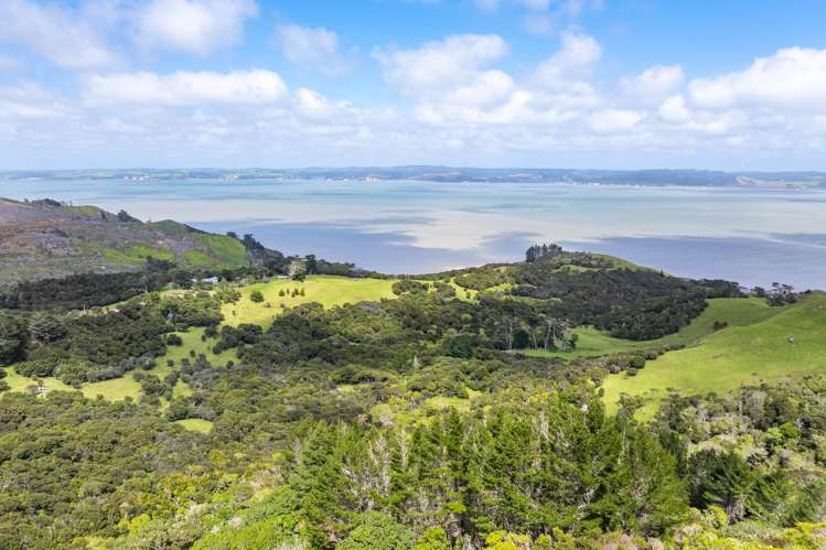 167 Summer Road Tinopai_47