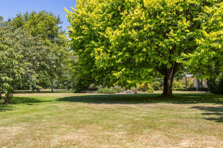 259 O'Roarkes Road Fernside_30