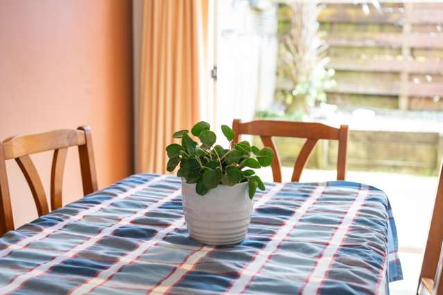 51A Queen Street Pukekohe_4