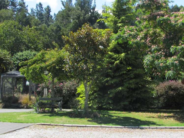 726 Whangamata Road Kinloch_8