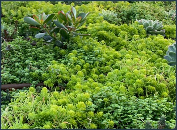 Address withheld Auckland_4