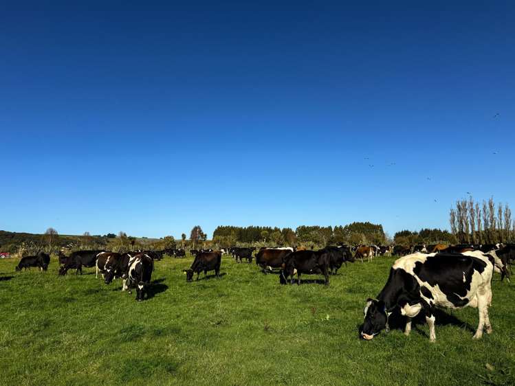 403 Island Edendale Road Menzies Ferry_7