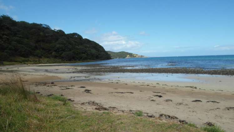 330 Shoal Bay Road Great Barrier Island (Aotea Island)_6