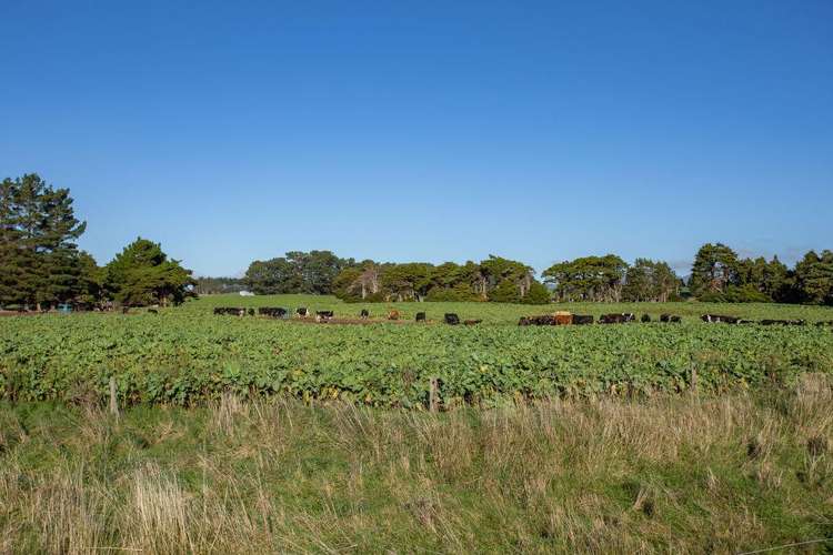 454 Parkville Road Eketahuna_13