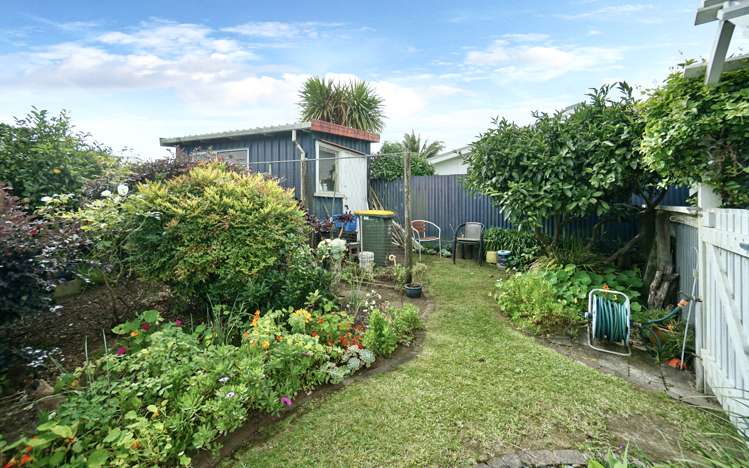 39b Queen Street Te Puke_7